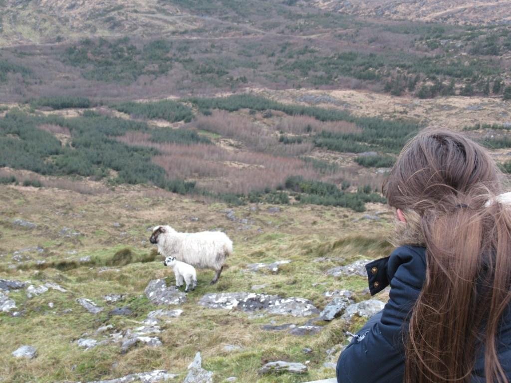 A women with goats in nature.